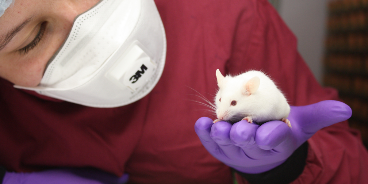 Institute’s animal facility receives international accreditation for animal care