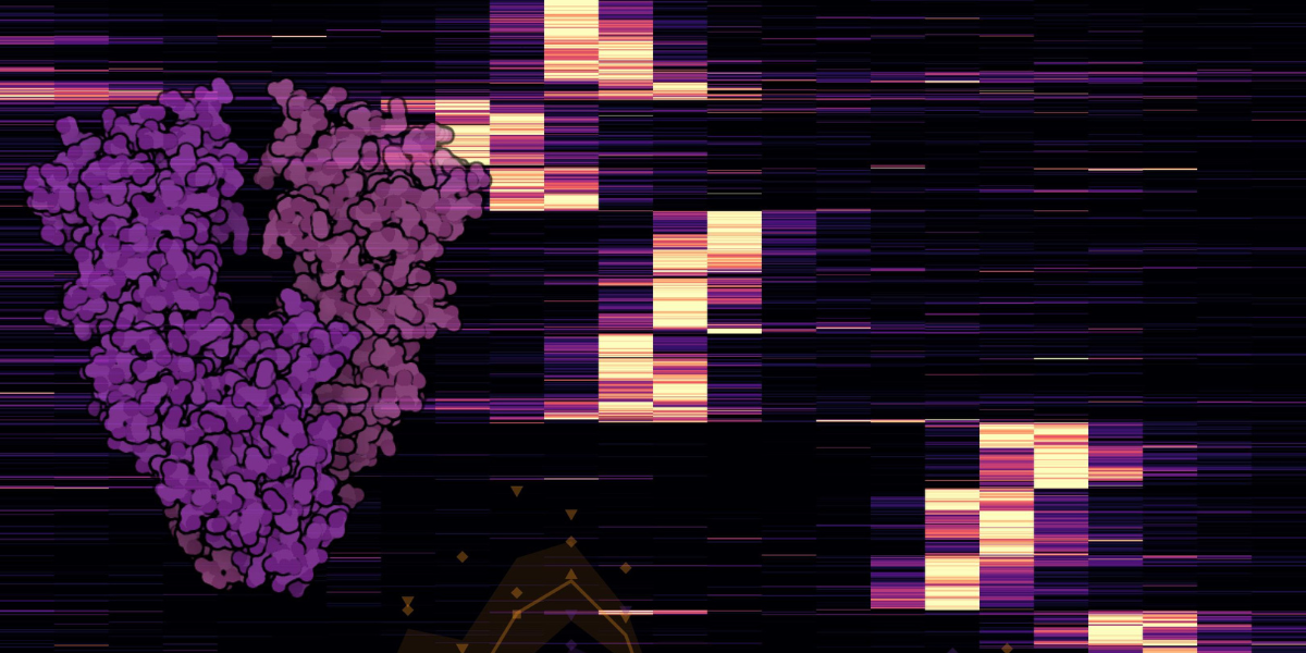 A new approach gives a better view of the proteomic fall-out of HSP90 inhibition
