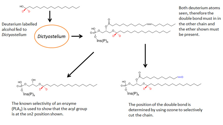 Chemistry-3